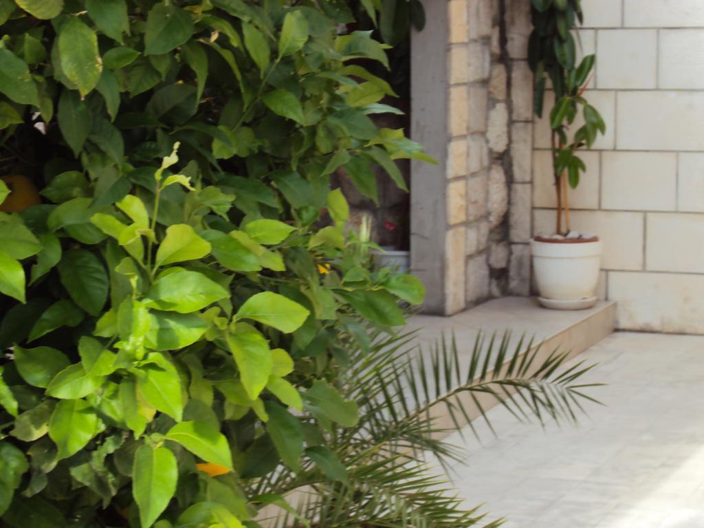 Apartment Lemon دوبروفينك المظهر الخارجي الصورة