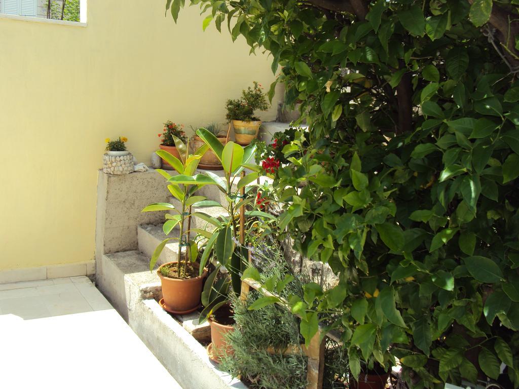 Apartment Lemon دوبروفينك المظهر الخارجي الصورة